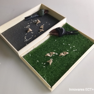 Laboratorio STEM Adaptaciones evolutivas Pinzones